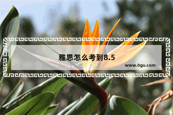 雅思怎么考到8.5