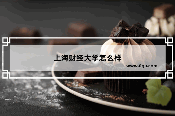 上海财经大学怎么样