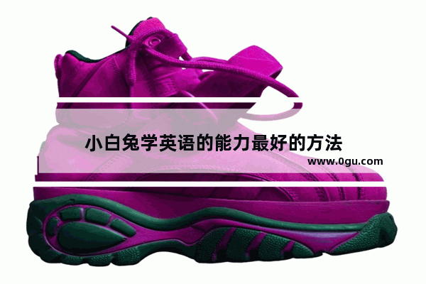 小白兔学英语的能力最好的方法