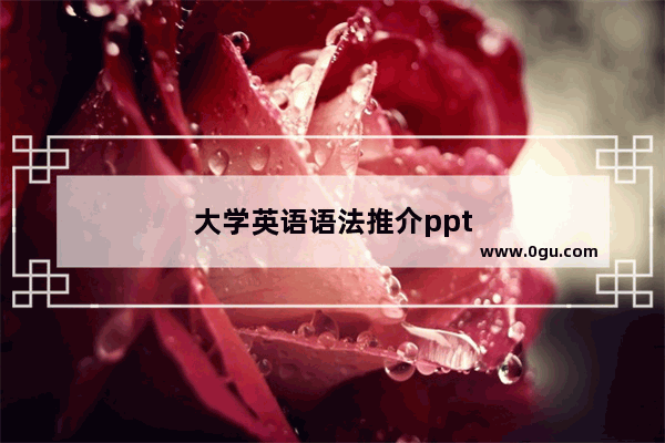 大学英语语法推介ppt