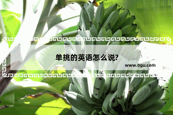 单挑的英语怎么说?