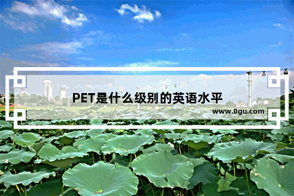 PET是什么级别的英语水平