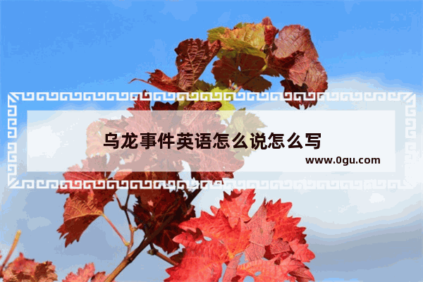 乌龙事件英语怎么说怎么写
