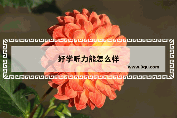 好学听力熊怎么样