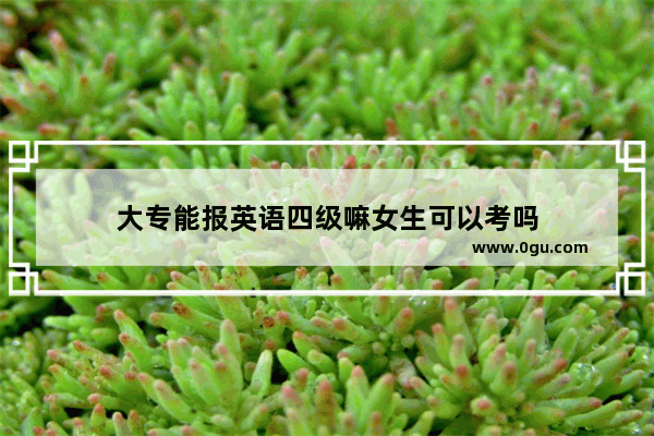 大专能报英语四级嘛女生可以考吗