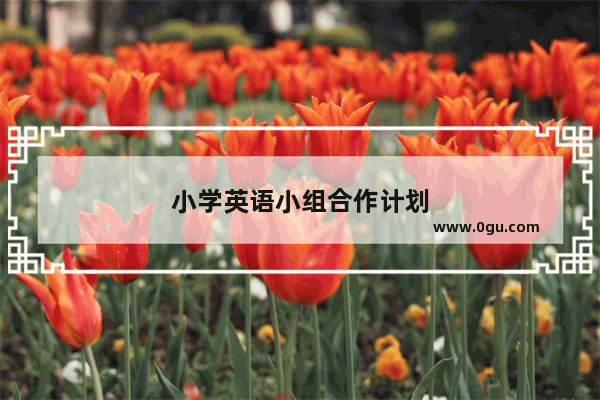 小学英语小组合作计划