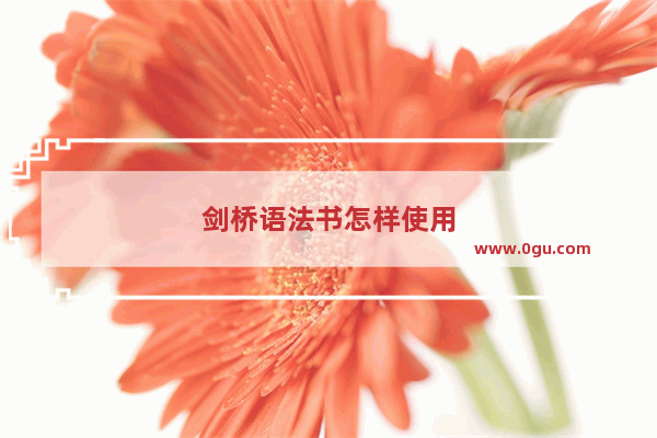 剑桥语法书怎样使用