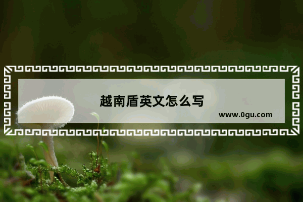 越南盾英文怎么写