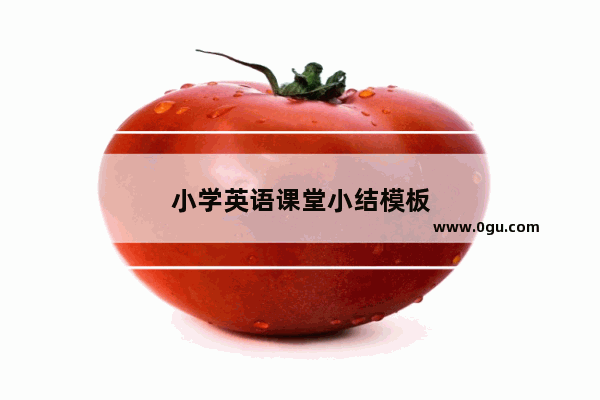 小学英语课堂小结模板