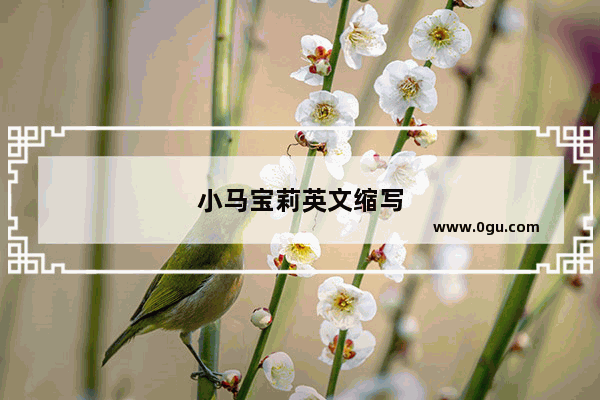 小马宝莉英文缩写