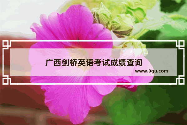 广西剑桥英语考试成绩查询
