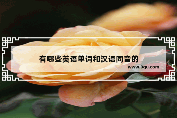 有哪些英语单词和汉语同音的