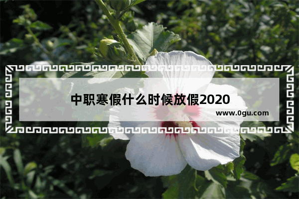 中职寒假什么时候放假2020