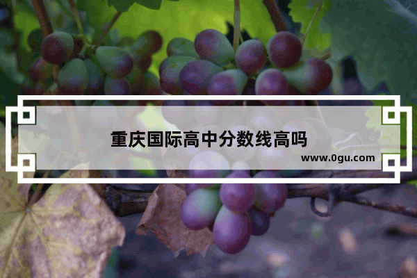 重庆国际高中分数线高吗