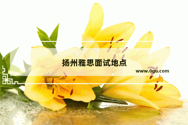 扬州雅思面试地点
