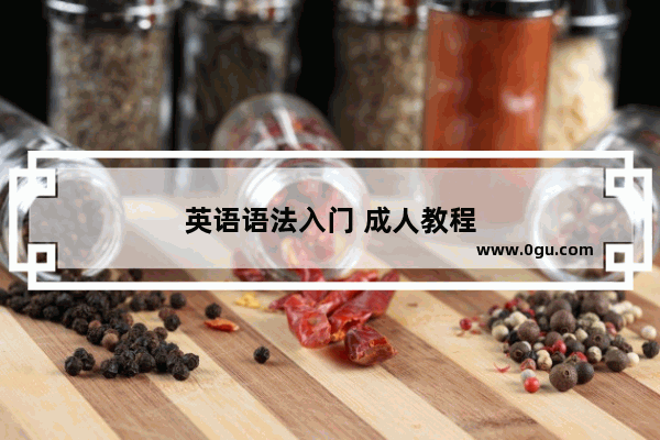 英语语法入门 成人教程
