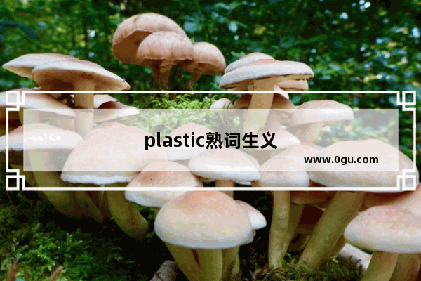 plastic熟词生义