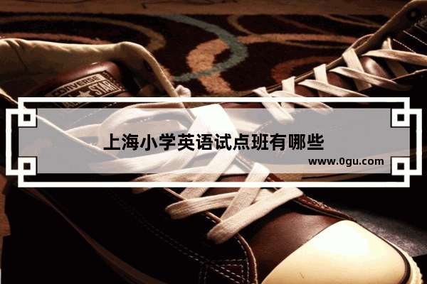 上海小学英语试点班有哪些