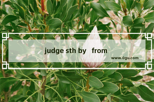 judge sth by   from   on  区别