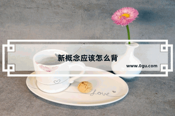 新概念应该怎么背
