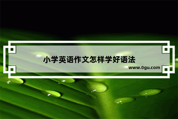 小学英语作文怎样学好语法