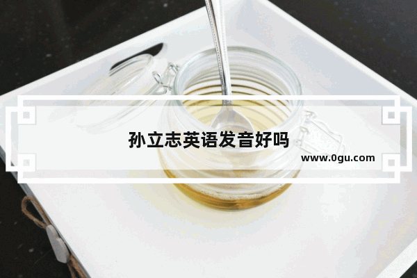 孙立志英语发音好吗