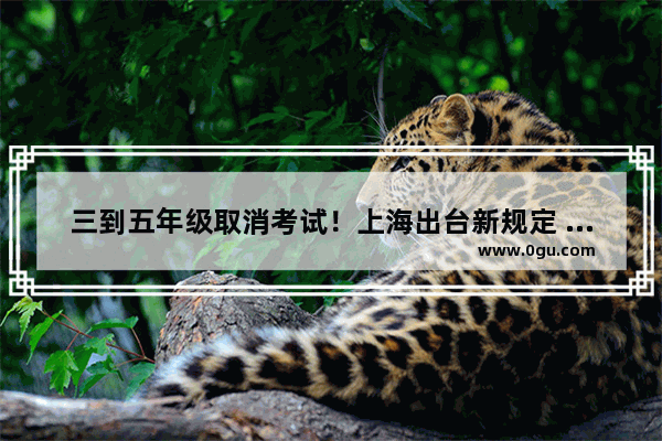 三到五年级取消考试！上海出台新规定 能否动摇英语的学科地位