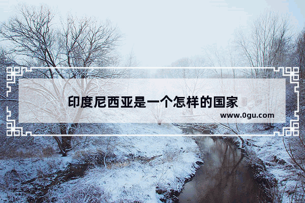 印度尼西亚是一个怎样的国家