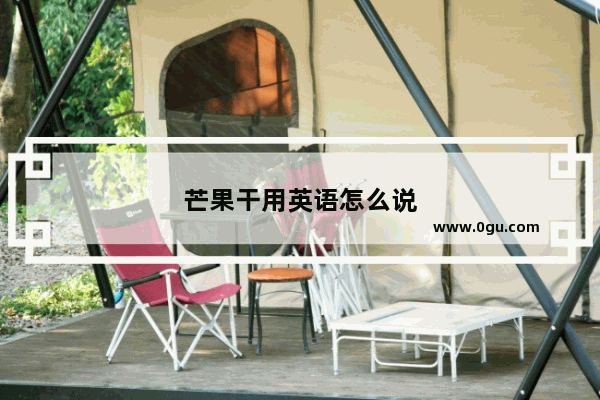 芒果干用英语怎么说
