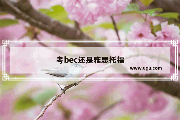 考bec还是雅思托福