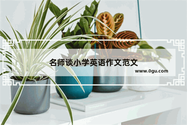 名师谈小学英语作文范文