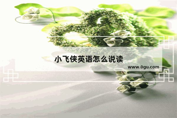小飞侠英语怎么说读