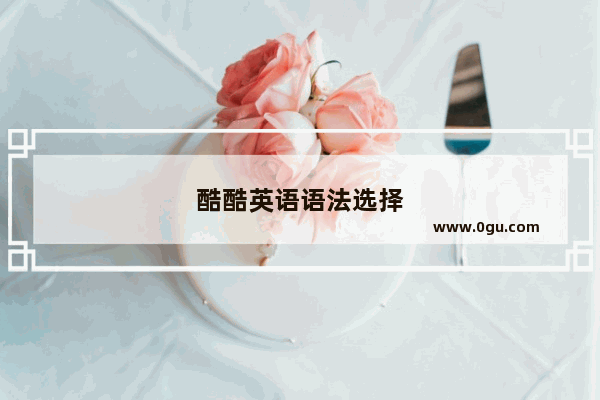 酷酷英语语法选择