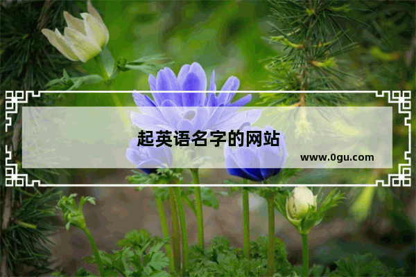 起英语名字的网站