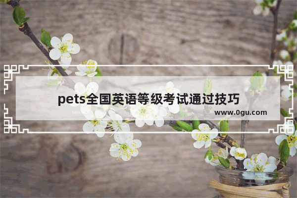 pets全国英语等级考试通过技巧