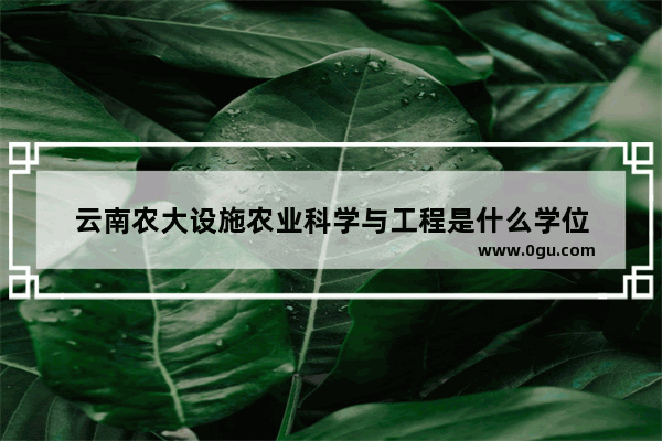 云南农大设施农业科学与工程是什么学位
