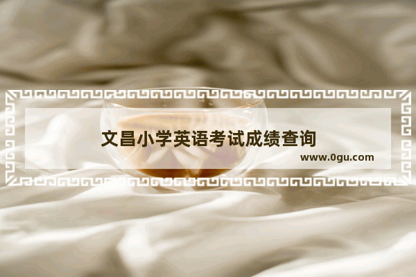 文昌小学英语考试成绩查询