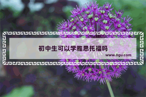 初中生可以学雅思托福吗