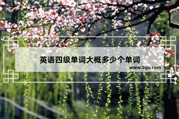 英语四级单词大概多少个单词