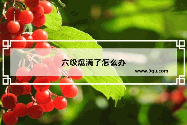 六级爆满了怎么办