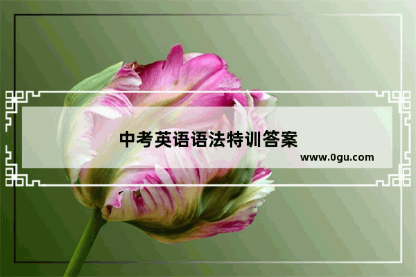 中考英语语法特训答案