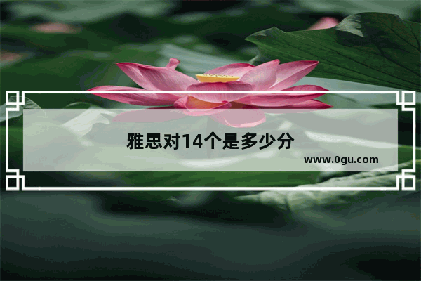 雅思对14个是多少分