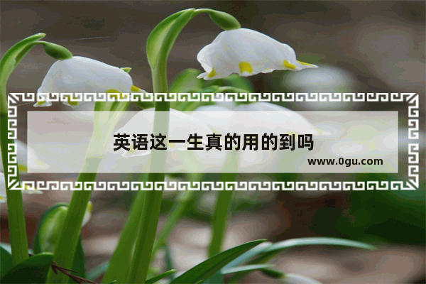英语这一生真的用的到吗