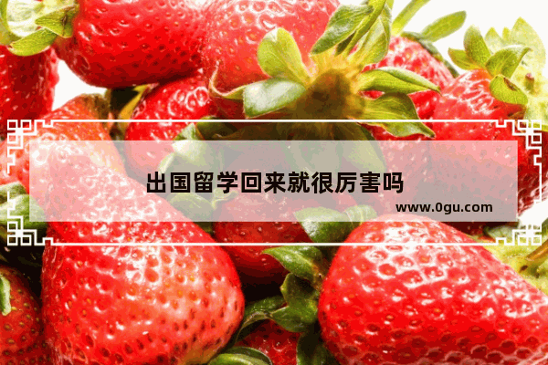 出国留学回来就很厉害吗