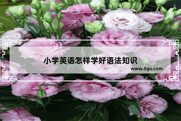 小学英语怎样学好语法知识