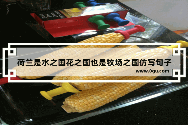 荷兰是水之国花之国也是牧场之国仿写句子