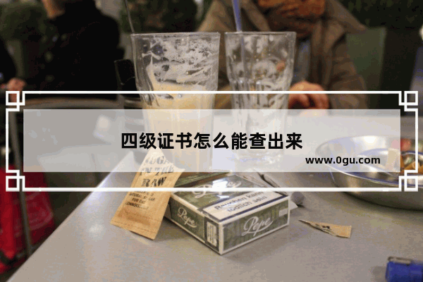 四级证书怎么能查出来