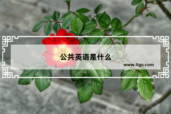 公共英语是什么