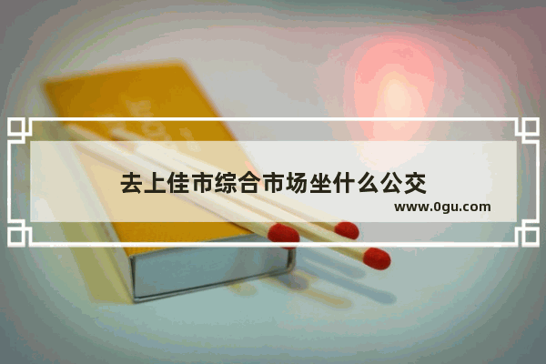 去上佳市综合市场坐什么公交