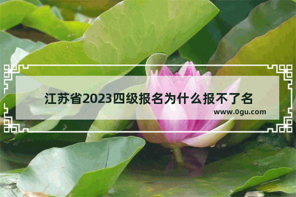 江苏省2023四级报名为什么报不了名